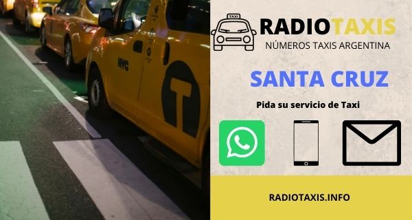 radio taxis santa cruz