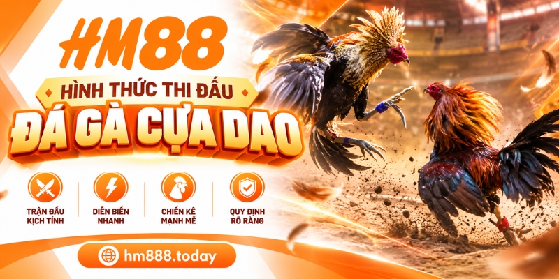 Hình thức thi đấu Đá gà cựa dao