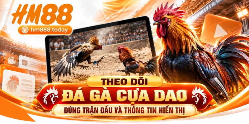 Theo dõi Đá Gà Cựa Dao đúng trận đấu và thông tin hiển thị